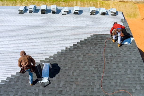 Best Chimney Flashing Repair  in Seadrift, TX